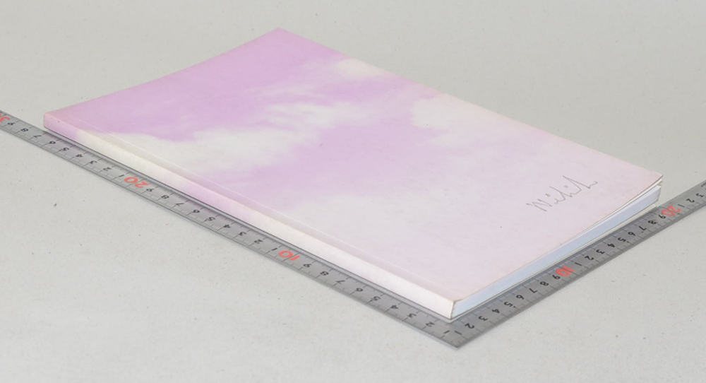 นางวิไลลักษณ์ ภัทร์กานนท์ (เรื่องเกี่ยวกับโรคมะเร็ง-ธรรมะกับชีวิต)