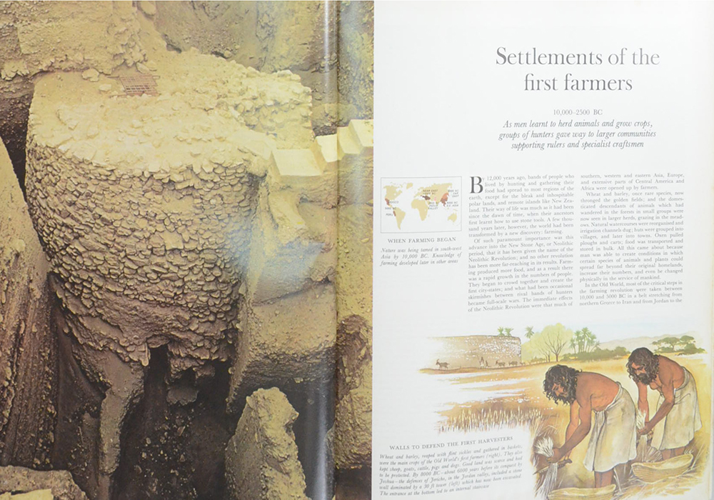 THE LAST TWO MILLION YEARS (ขายตามสภาพ)