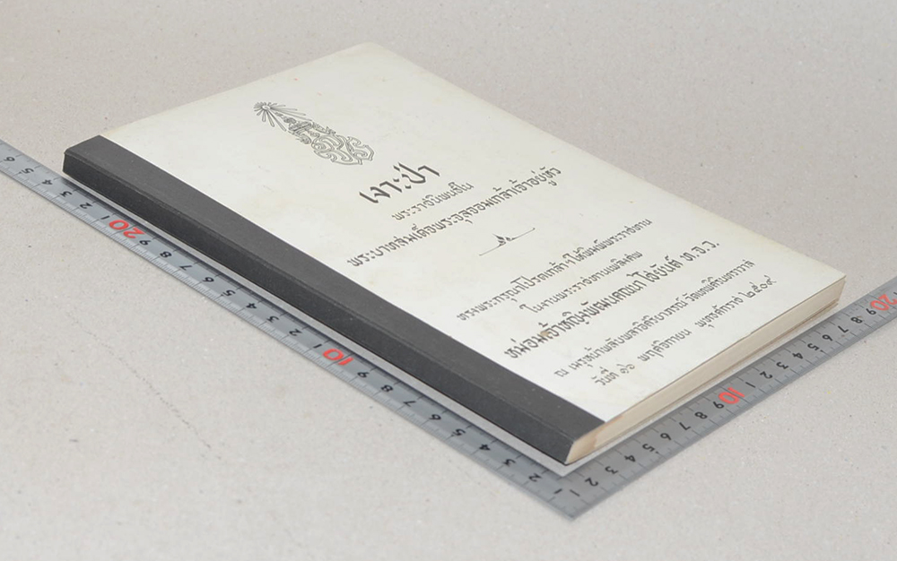 เงาะป่า