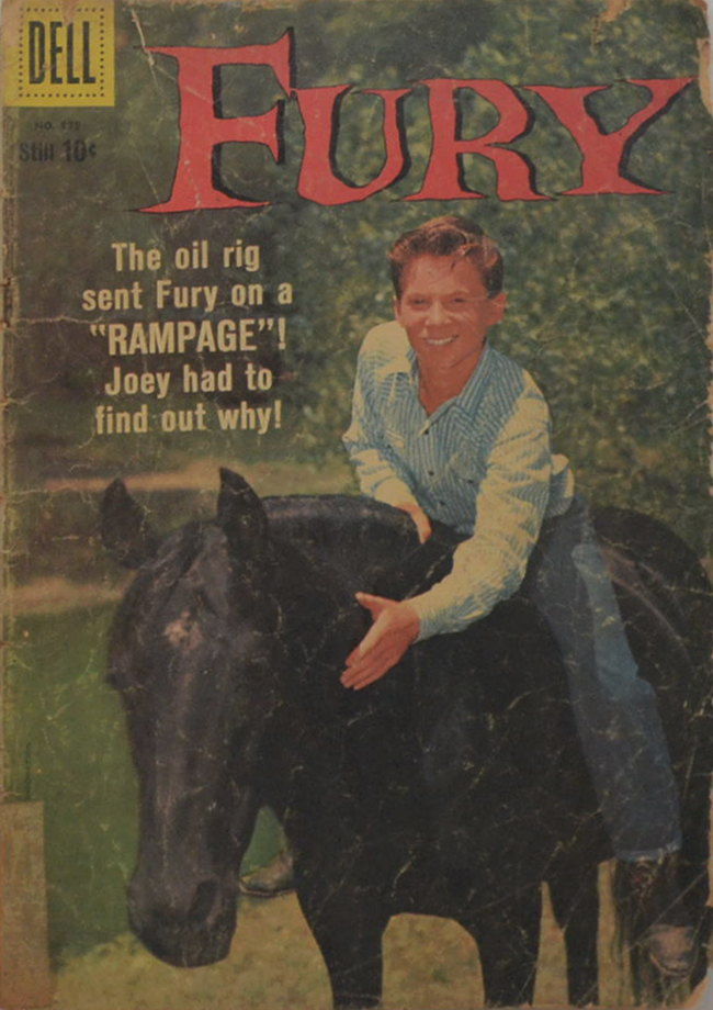 FURY