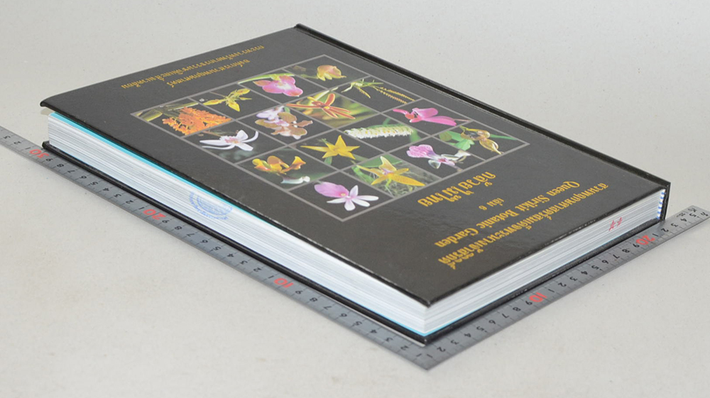 สวนพฤกษศาสตร์สมเด็จพระนางเจ้าสิริกิติ์ เล่ม 6 กล้วยไม้ไทย (ขายตามสภาพ)