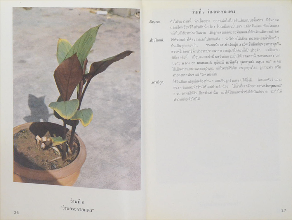 ตำราว่าน 108