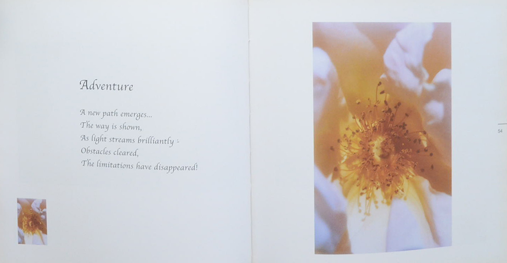 The Rose Oracle A Communion