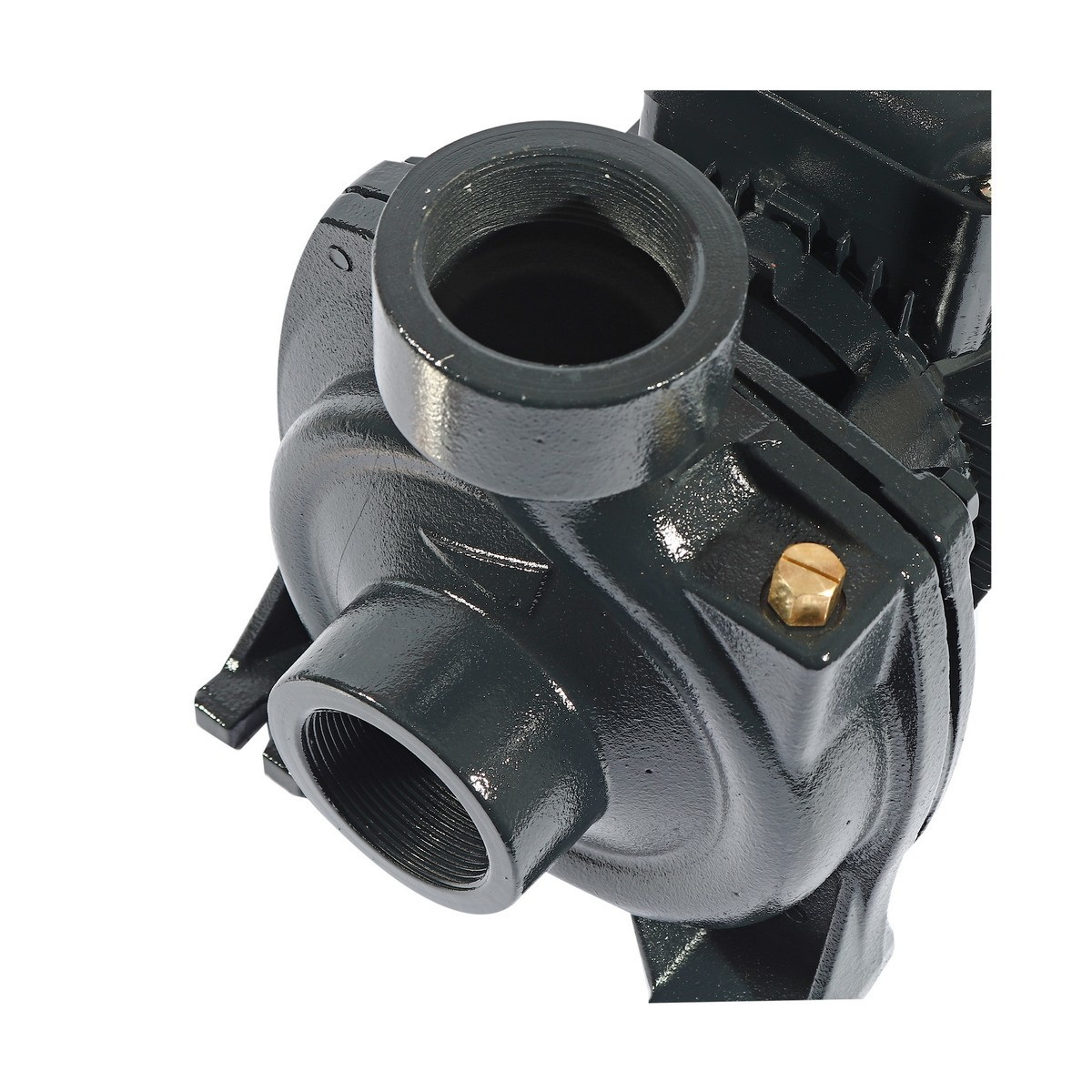 POLO LHF1-5AMB ปั๊มหอยโข่ง 2"x2" 2HP H.22m 500L/min