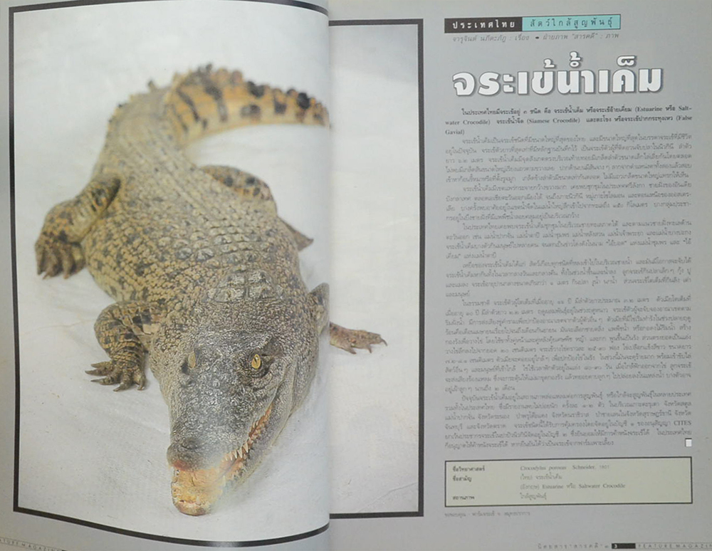 สารคดี ปีที่ 13 ฉบับที่ 148 มิถุนายน 2540