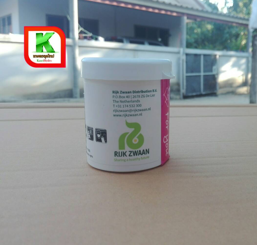 กรีน คอรัล แบบเคลือบ 1000 เมล็ด (RIJK ZWAAN)