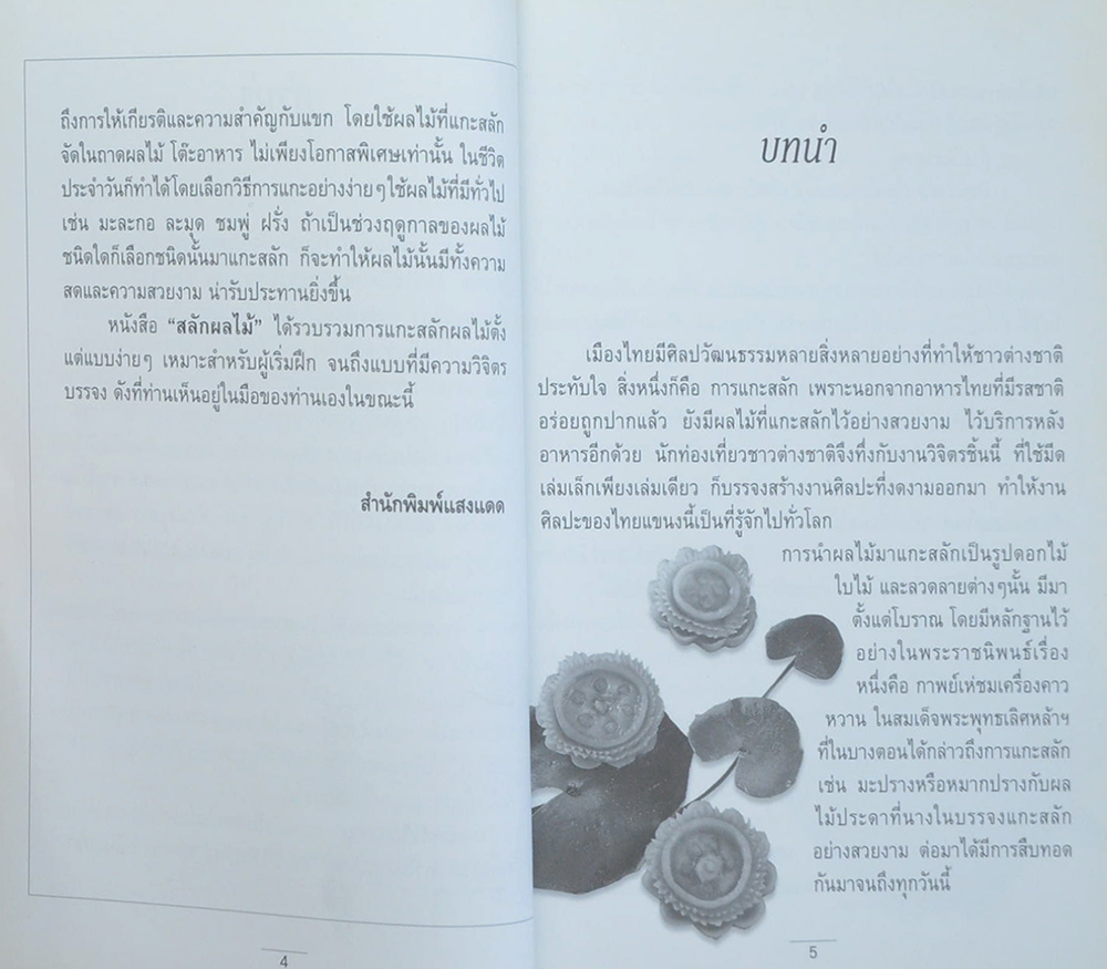สลักผลไม้ (ตำหนิ)