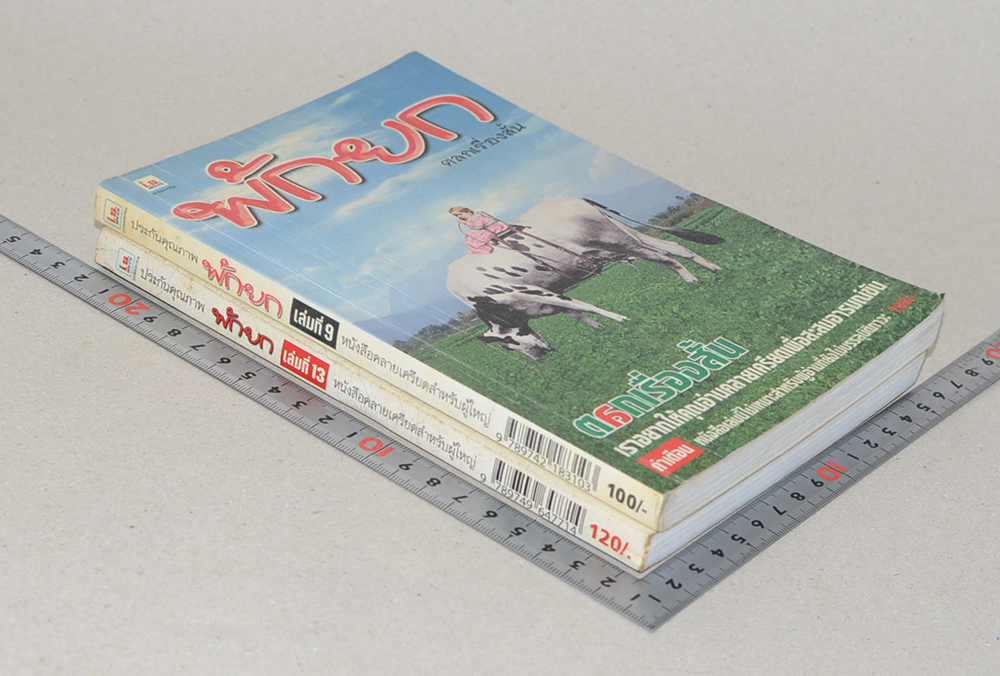 รวมพักยก (2 เล่ม)