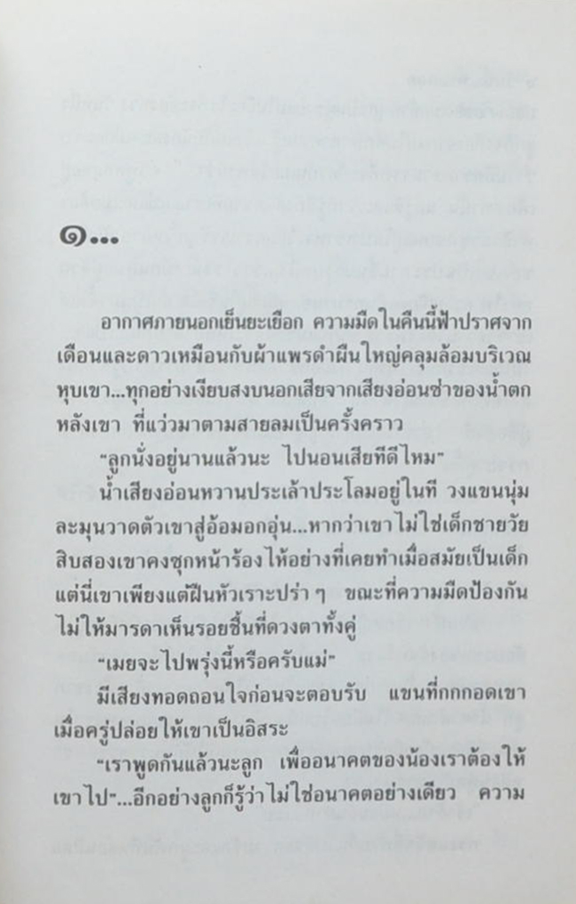 วันนี้ที่รอคอย (2 เล่มจบ)