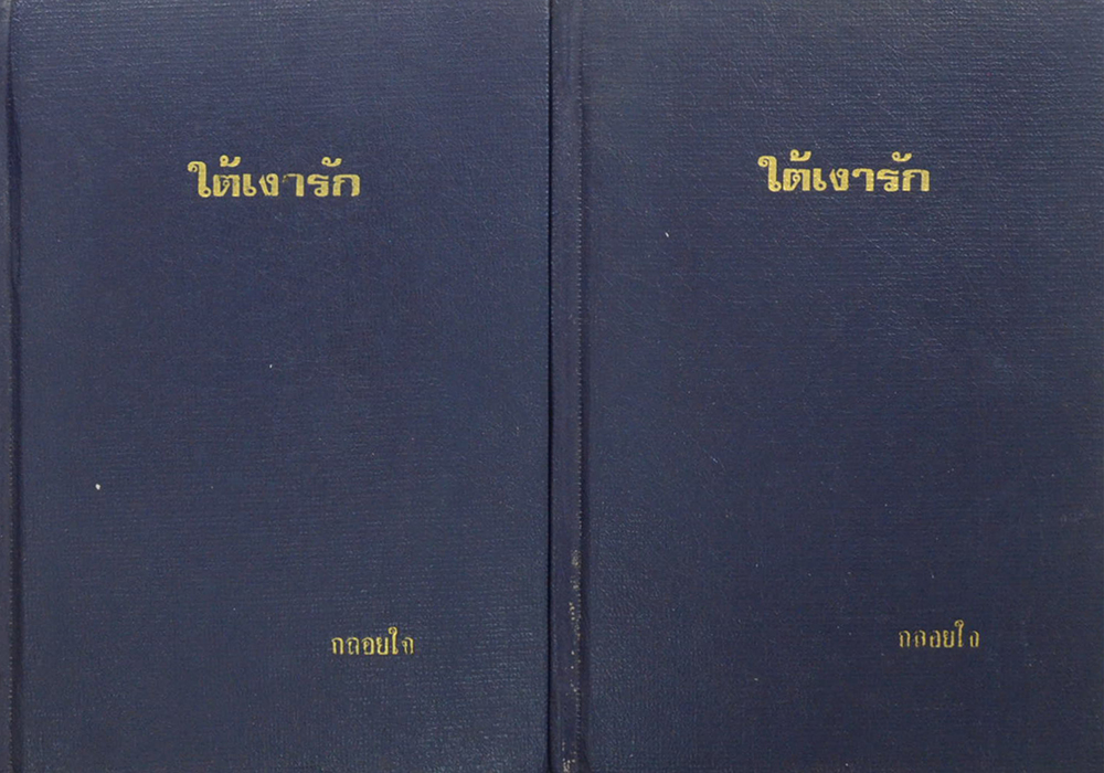 ใต้เงารัก (2 เล่มจบ)