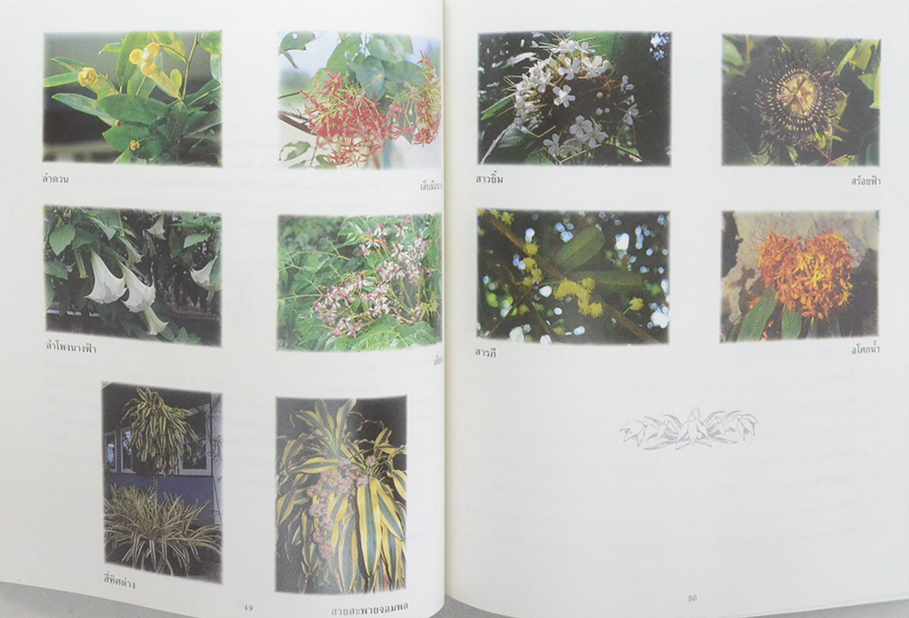 ดอกไม้หอม