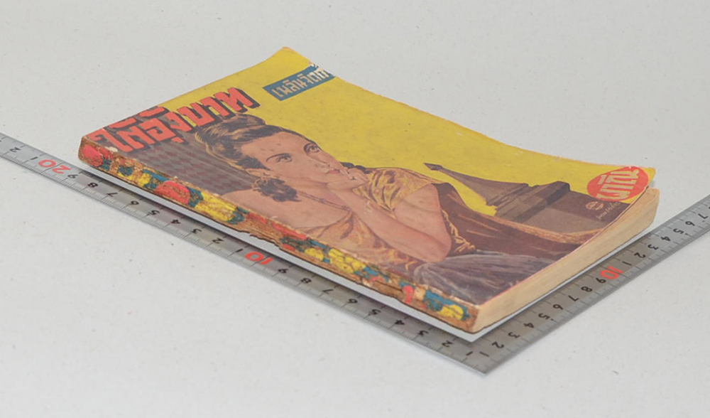 ใต้อุ้งบาท (ปกโดย เหม เวชกร)