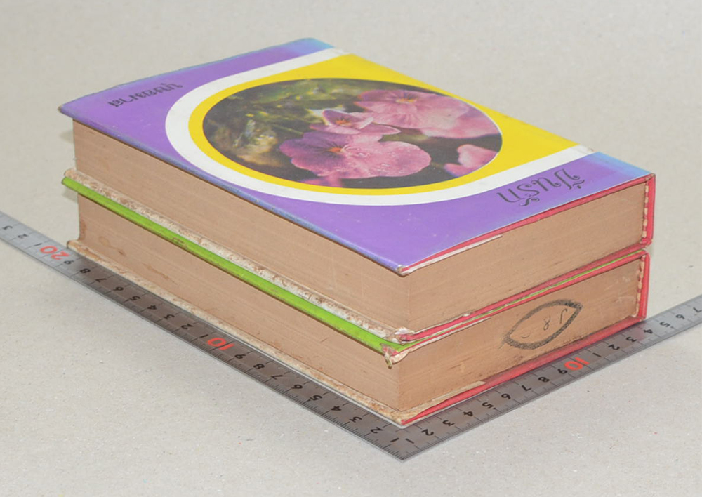 ปิ่นรัก (2 เล่มจบ)