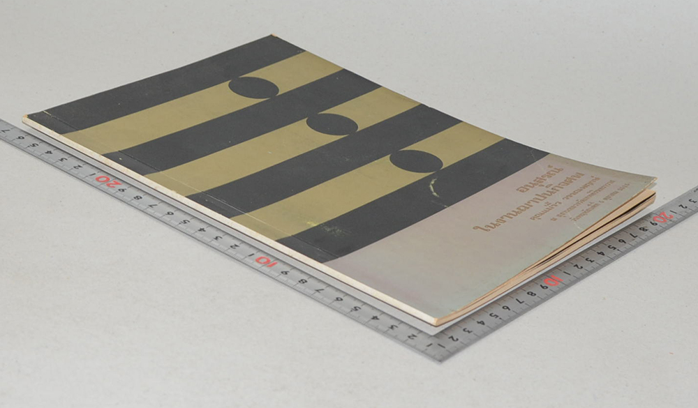 คุณแม่ริ้ว วรรณพฤกษ์ (บทความ เรื่อง “โรคของผู้สูงอายุ”)