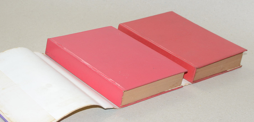 ปิ่นรัก (2 เล่มจบ)