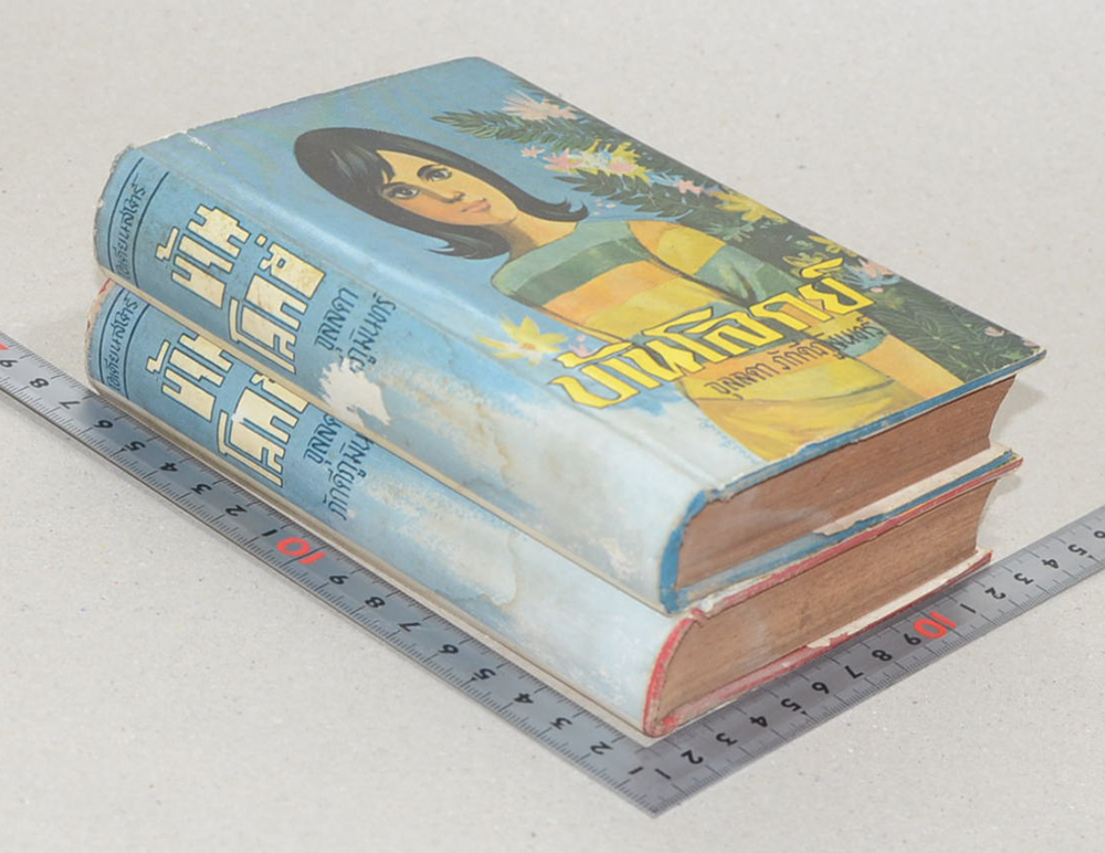 บ้านโลกย์ (2 เล่มจบ)