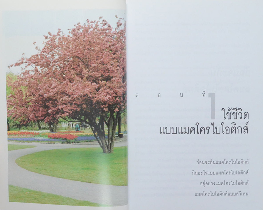 แมคโครไบโอติกส์ การกินอาหารและใช้ชีวิตกับธรรมชาติ