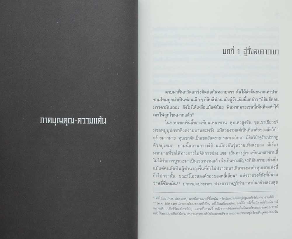 ยอดพยัคฆ์พิทักษ์ราชวงศ์ถัง (9 เล่มจบ)