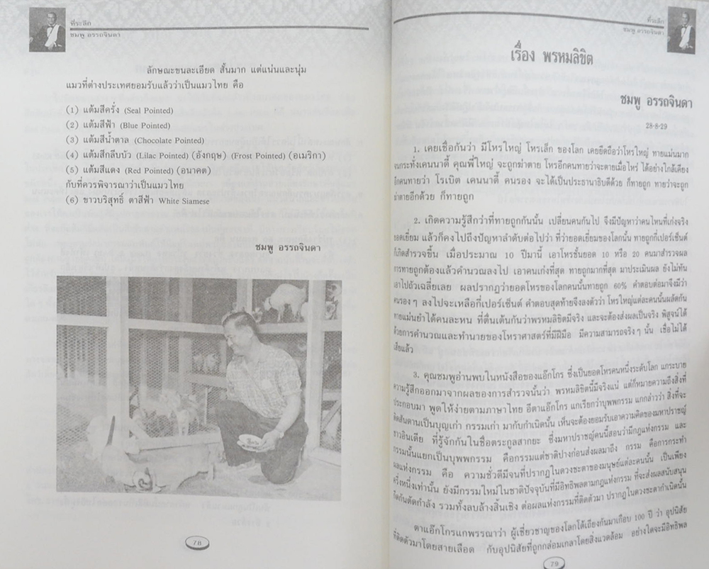 นายชมพู อรรถจินดา (เรื่องของแมวไทย)