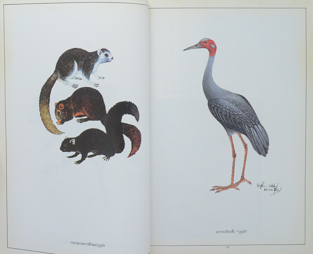 การต่อสู้และผลงาน ของ นายแพทย์บุญส่ง เลขะกุล