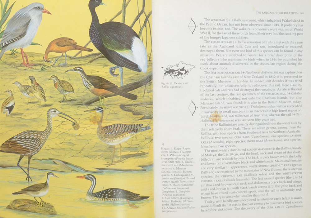 Grzimek’s ANIMAL LIFE ENCYCLOPEDIA