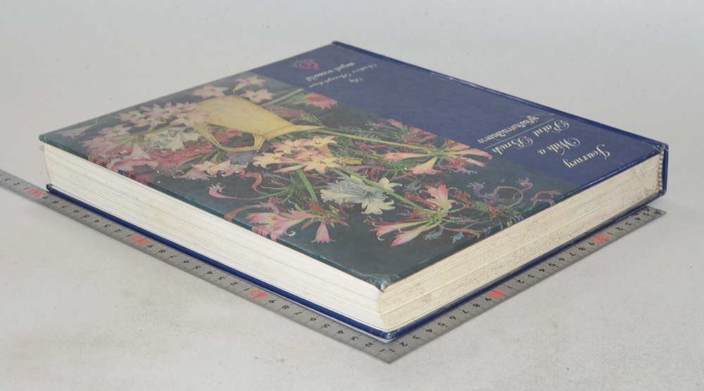 JOURNEY WITH A PAINT BRUSH พู่กันกับการเดินทาง