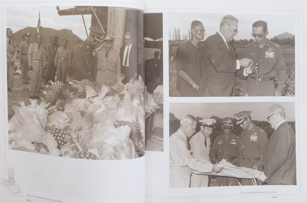 โครงการหุบกะพงและหนองพลับ