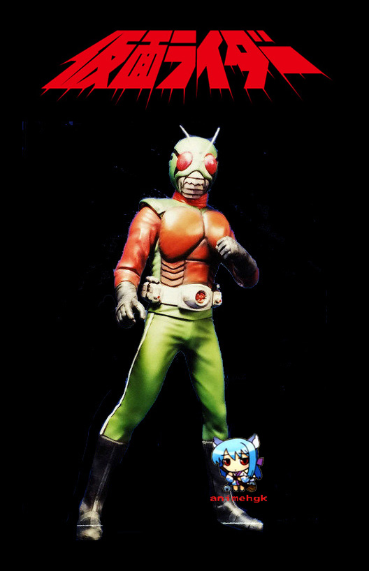 คาเมนไรเดอร์ สกายไรเดอร์ มาส์คไรเดอร์ Kamen Rider Mask Sky rider ( V8 )