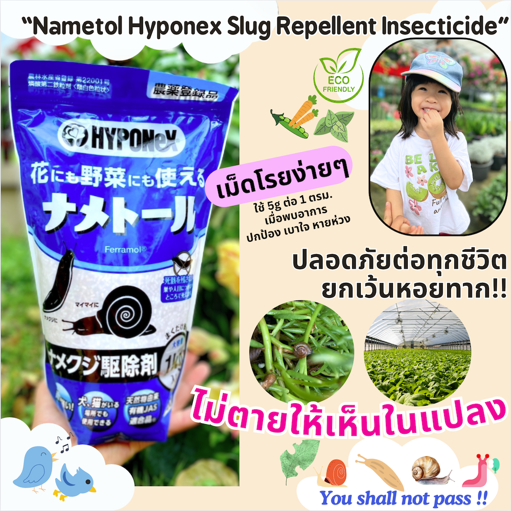 1Kg.ยากำจัดหอยทาก ปลอดภัย ใส่ผักผลไม้ ไม้ทุกชนิด ทนฝน Nametol Hyponex Slug Repellent Insecticide