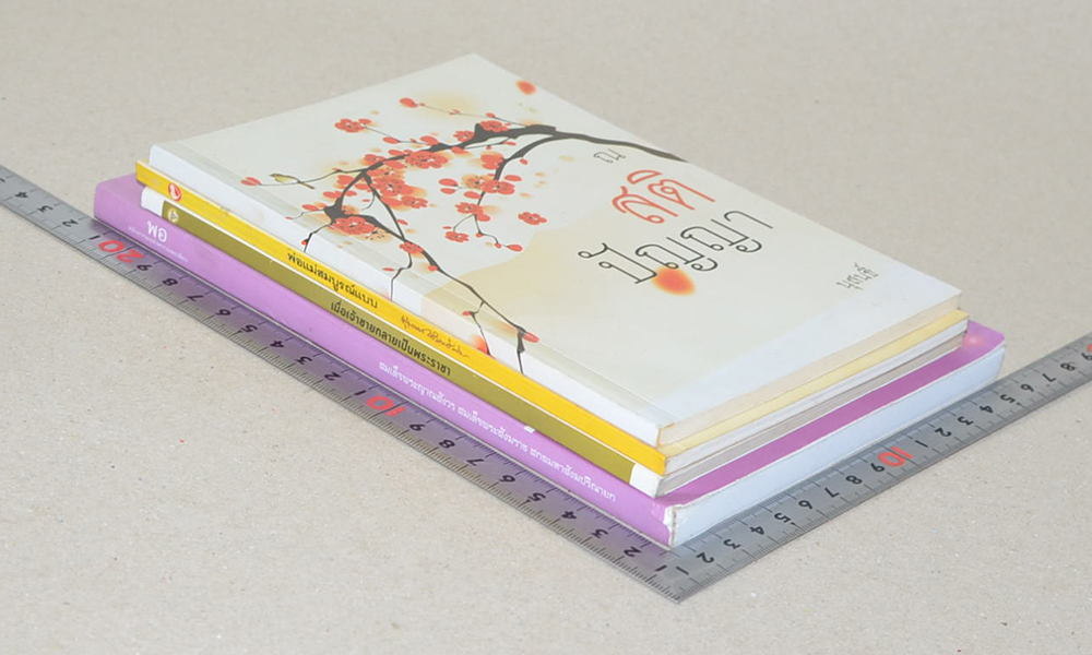 รวมเรื่อง (4 เล่ม)