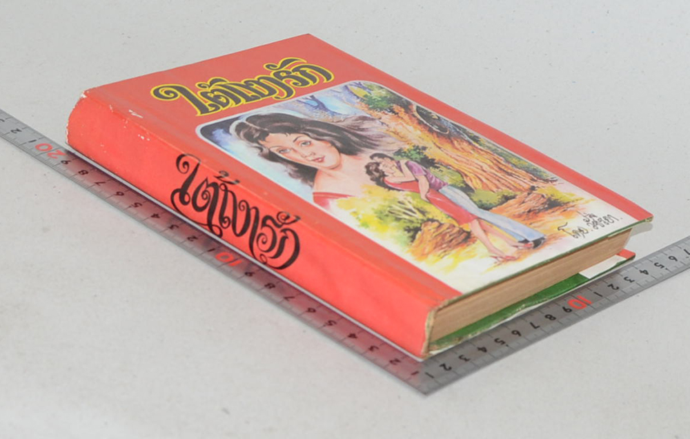 ใต้เงารัก (เล่มเดียวจบ)