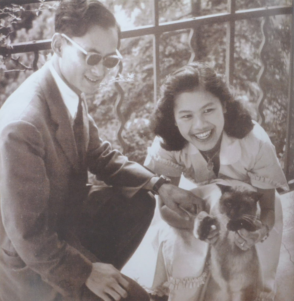 ตราบสิ้นดินฟ้า คีตศิรวาท 84 พรรษา (ขายตามสภาพ)