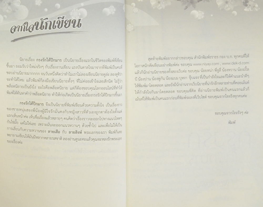 กรงรักใต้ปีกมาร (เล่มเดียวจบ)