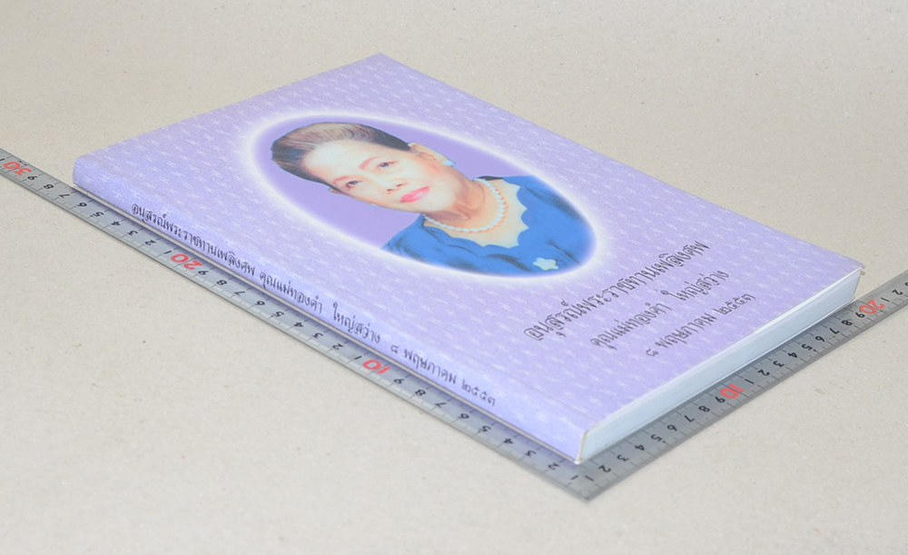 คุณแม่ทองคำ ใหญ่สว่าง (การดำเนินคดีอาญาในศาลฎีกาแผนกคดีอาญาของผู้ดำรงตำแหน่งทางการเมือง)