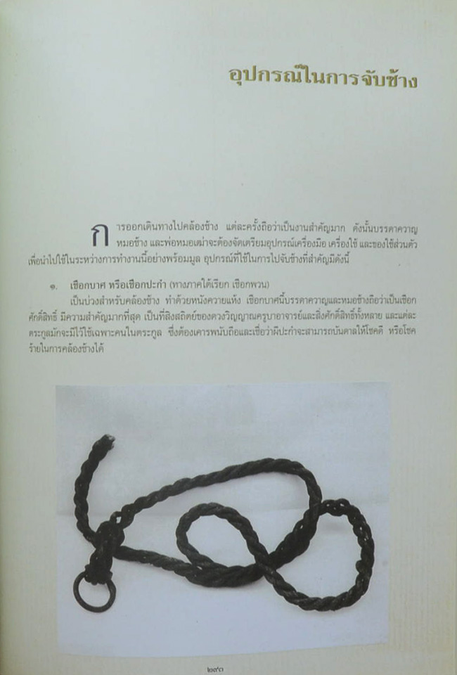 ท่านผู้หญิงอรอวล อิศรางกูร ณ อยุธยา (การจับช้างหรือการคล้องช้าง)