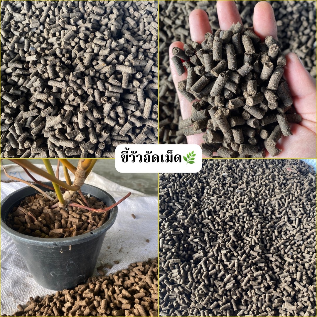 ปุ๋ยขี้วัวอัดเม็ดแท้ ปุ๋ยธรรมชาติ Organic Cow Manure Pellets