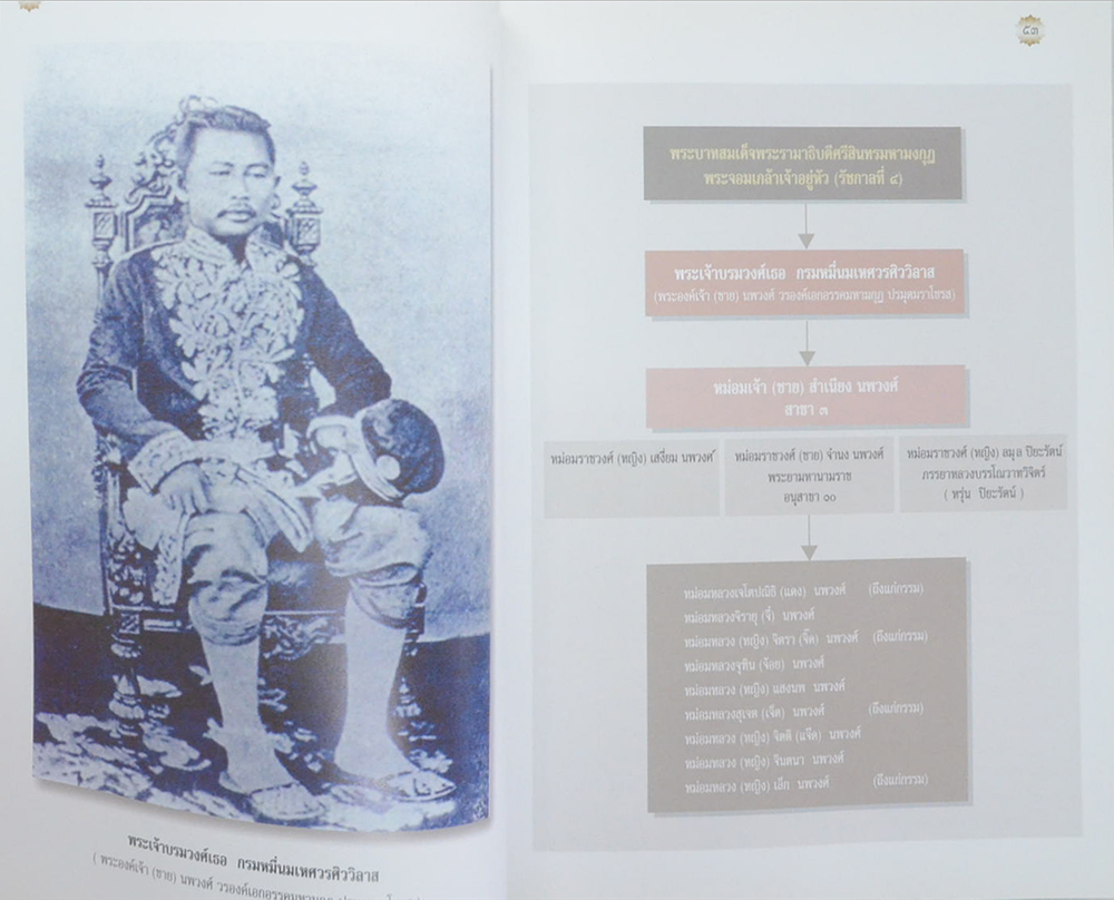 ฯพณฯ ศาสตราจารย์ หม่อมหลวงจิรายุ นพวงศ์ (ชีวประวัติ-ผลงาน)