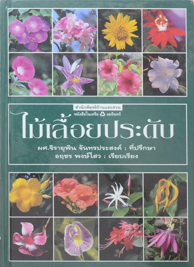 ไม้เลื้อยประดับ