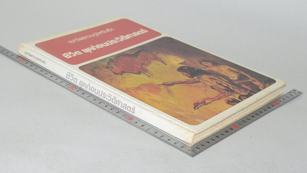 ชีวิต ยุคก่อนประวัติศาสตร์