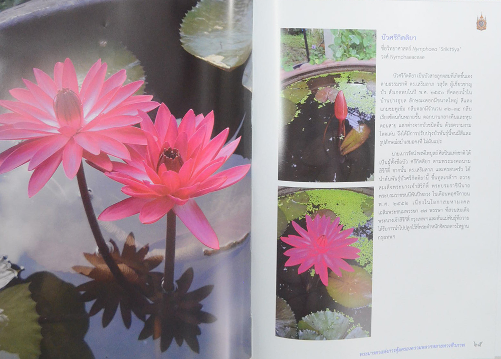 90 พรรษา บรมราชินีนาถ พระมารดาแห่งการคุ้มครองความหลากหลายทางชีวภาพ