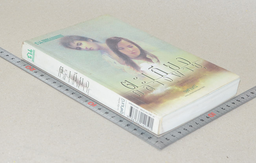 ตะเกียงกลางพายุ (เล่มเดียวจบ)