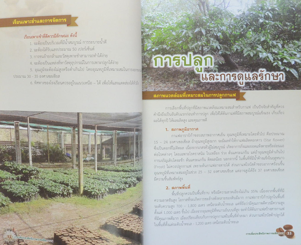 การเพิ่มประสิทธิภาพการผลิตกาแฟ (ขายตามสภาพ)