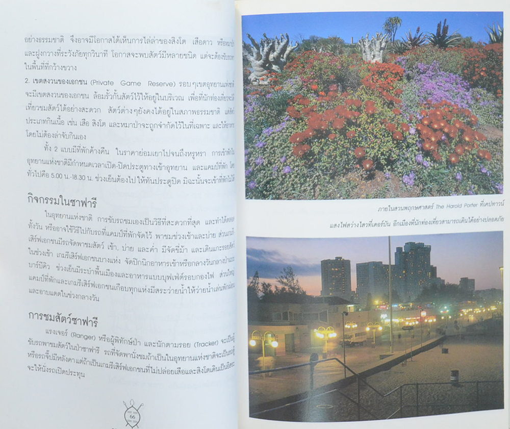 แอฟริกาใต้