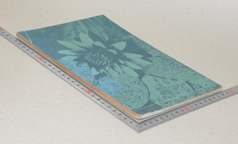 นางสง่า ชาญกลราวี (สวนในบ้าน)