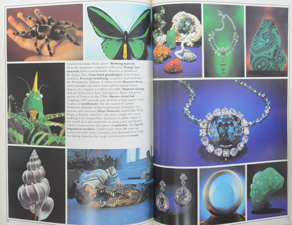 A Picture Tour of the SMITHSONIAN