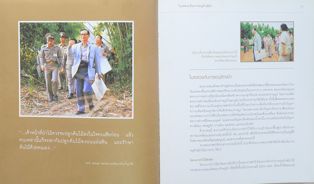 84 พรรณไม้ถวายในหลวง (มีเมล็ดพืช 3 ชนิดให้ทดลองปลูก / ขายตามสภาพ)
