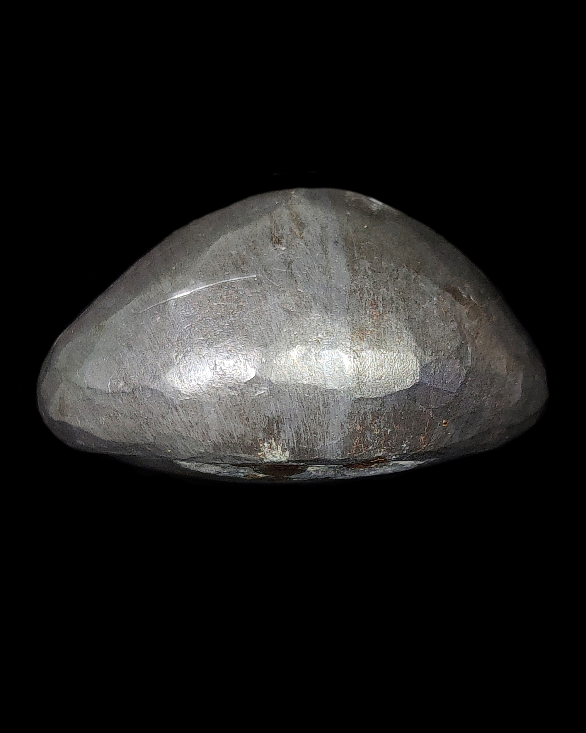 เบี้ยแก้เปลือย หลวงปู่เจือ ปิยสีโล วัดกลางบางแก้ว มีจารรอบเบี้ย ลายมือหลวงปู่เจือโดยตรง สภาพสวยเดิมๆ