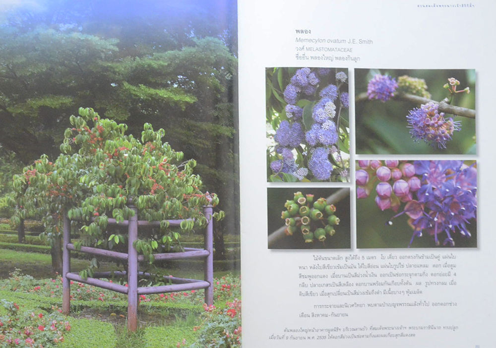 สวนสมเด็จพระนางเจ้าสิริกิติ์ (ขายตามสภาพ)