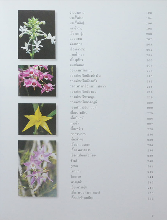 สวนพฤกษศาสตร์สมเด็จพระนางเจ้าสิริกิติ์ เล่ม 6 กล้วยไม้ไทย (ขายตามสภาพ)