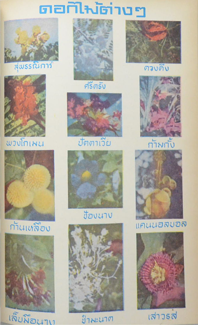 หลวงบุเรศรบำรุงการ (ไม้ในวรรณคดี)